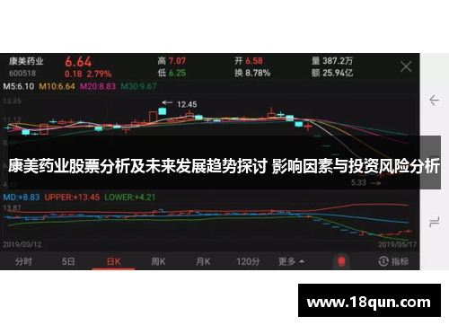 康美药业股票分析及未来发展趋势探讨 影响因素与投资风险分析
